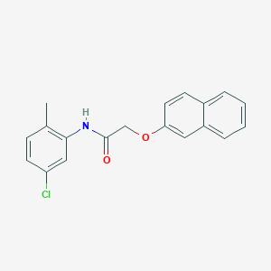 molecular formula C19H16ClNO2 B398646 N-(5-chloro-2-methylphenyl)-2-(2-naphthyloxy)acetamide 