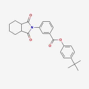 molecular formula C25H27NO4 B3988807 4-tert-butylphenyl 3-(1,3-dioxooctahydro-2H-isoindol-2-yl)benzoate 