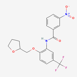 molecular formula C19H17F3N2O5 B3988835 3-nitro-N-[2-(tetrahydro-2-furanylmethoxy)-5-(trifluoromethyl)phenyl]benzamide 