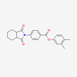 3,4-dimethylphenyl 4-(1,3-dioxooctahydro-2H-isoindol-2-yl)benzoate