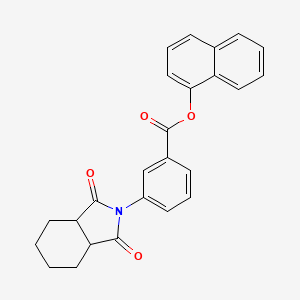 molecular formula C25H21NO4 B3989396 1-naphthyl 3-(1,3-dioxooctahydro-2H-isoindol-2-yl)benzoate 