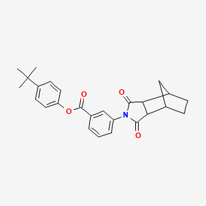 4-tert-butylphenyl 3-(1,3-dioxooctahydro-2H-4,7-methanoisoindol-2-yl)benzoate