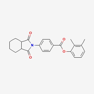 molecular formula C23H23NO4 B3990814 2,3-dimethylphenyl 4-(1,3-dioxooctahydro-2H-isoindol-2-yl)benzoate 