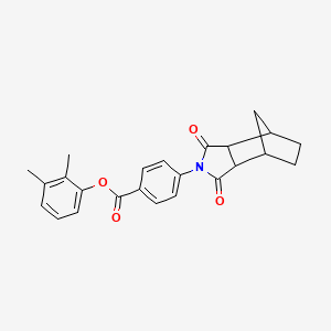 molecular formula C24H23NO4 B3990920 2,3-dimethylphenyl 4-(1,3-dioxooctahydro-2H-4,7-methanoisoindol-2-yl)benzoate 