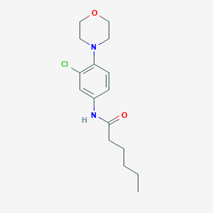 molecular formula C16H23ClN2O2 B399377 N-[3-chloro-4-(morpholin-4-yl)phenyl]hexanamide 