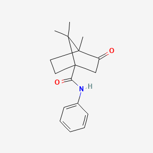 4,7,7-trimethyl-3-oxo-N-phenylbicyclo[2.2.1]heptane-1-carboxamide