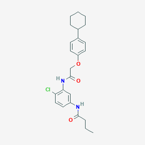 molecular formula C24H29ClN2O3 B399744 N-(4-chloro-3-{[(4-cyclohexylphenoxy)acetyl]amino}phenyl)butanamide 
