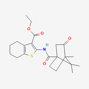 molecular formula C22H29NO4S B3999273 ethyl 2-{[(4,7,7-trimethyl-3-oxobicyclo[2.2.1]hept-1-yl)carbonyl]amino}-4,5,6,7-tetrahydro-1-benzothiophene-3-carboxylate 