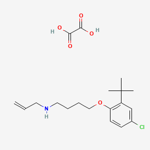 molecular formula C19H28ClNO5 B3999718 4-(2-tert-butyl-4-chlorophenoxy)-N-prop-2-enylbutan-1-amine;oxalic acid 