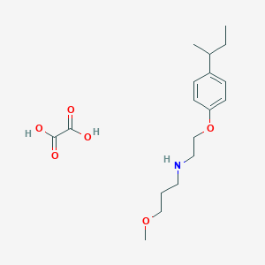 N-[2-(4-butan-2-ylphenoxy)ethyl]-3-methoxypropan-1-amine;oxalic acid