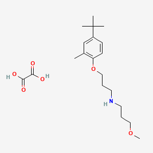 N-[3-(4-tert-butyl-2-methylphenoxy)propyl]-3-methoxypropan-1-amine;oxalic acid