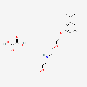 molecular formula C19H31NO7 B4000932 2-methoxy-N-[2-[2-(3-methyl-5-propan-2-ylphenoxy)ethoxy]ethyl]ethanamine;oxalic acid 