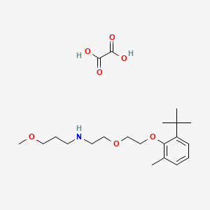 molecular formula C21H35NO7 B4001150 N-[2-[2-(2-tert-butyl-6-methylphenoxy)ethoxy]ethyl]-3-methoxypropan-1-amine;oxalic acid 