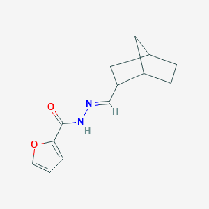 molecular formula C13H16N2O2 B400130 N'-(bicyclo[2.2.1]hept-2-ylmethylene)-2-furohydrazide 