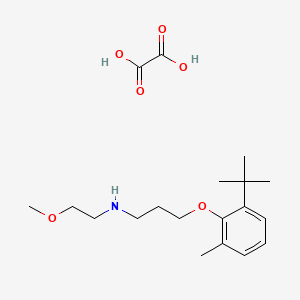 molecular formula C19H31NO6 B4001683 3-(2-tert-butyl-6-methylphenoxy)-N-(2-methoxyethyl)propan-1-amine;oxalic acid 