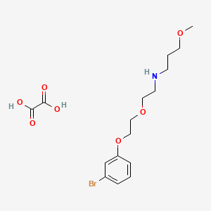 molecular formula C16H24BrNO7 B4001797 N-[2-[2-(3-bromophenoxy)ethoxy]ethyl]-3-methoxypropan-1-amine;oxalic acid 