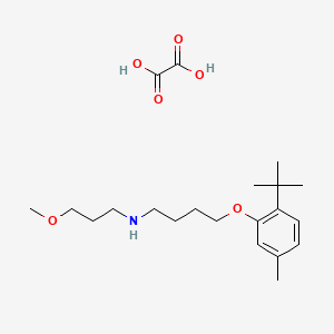 4-(2-tert-butyl-5-methylphenoxy)-N-(3-methoxypropyl)butan-1-amine;oxalic acid