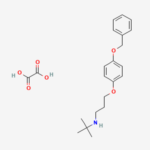 molecular formula C22H29NO6 B4002423 2-methyl-N-[3-(4-phenylmethoxyphenoxy)propyl]propan-2-amine;oxalic acid 