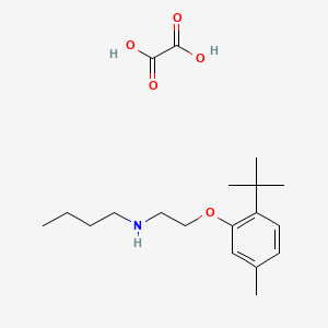 molecular formula C19H31NO5 B4002437 N-[2-(2-tert-butyl-5-methylphenoxy)ethyl]butan-1-amine;oxalic acid 