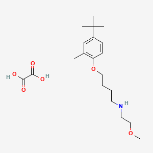 molecular formula C20H33NO6 B4002544 4-(4-tert-butyl-2-methylphenoxy)-N-(2-methoxyethyl)butan-1-amine;oxalic acid 