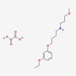 4-(3-ethoxyphenoxy)-N-(3-methoxypropyl)butan-1-amine;oxalic acid