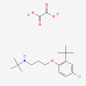 molecular formula C19H30ClNO5 B4002624 N-(tert-butyl)-3-(2-tert-butyl-4-chlorophenoxy)-1-propanamine oxalate 