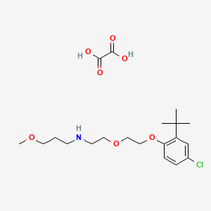 N-{2-[2-(2-tert-butyl-4-chlorophenoxy)ethoxy]ethyl}-3-methoxy-1-propanamine oxalate