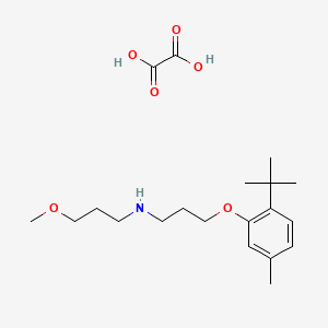 molecular formula C20H33NO6 B4003246 N-[3-(2-tert-butyl-5-methylphenoxy)propyl]-3-methoxypropan-1-amine;oxalic acid 