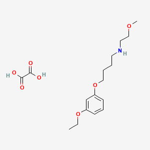 4-(3-ethoxyphenoxy)-N-(2-methoxyethyl)butan-1-amine;oxalic acid