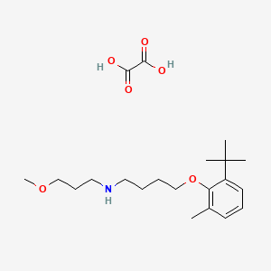 molecular formula C21H35NO6 B4004359 4-(2-tert-butyl-6-methylphenoxy)-N-(3-methoxypropyl)butan-1-amine;oxalic acid 