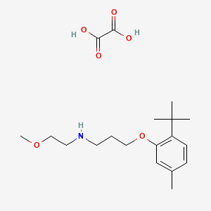 molecular formula C19H31NO6 B4004818 3-(2-tert-butyl-5-methylphenoxy)-N-(2-methoxyethyl)propan-1-amine;oxalic acid 