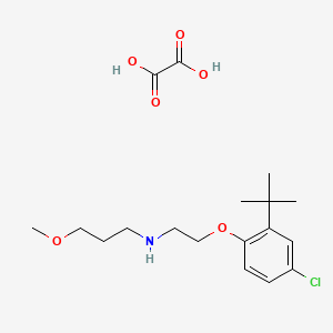 N-[2-(2-tert-butyl-4-chlorophenoxy)ethyl]-3-methoxypropan-1-amine;oxalic acid