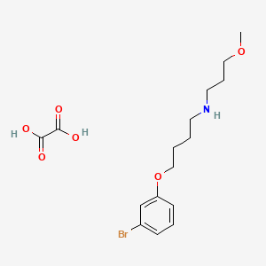 molecular formula C16H24BrNO6 B4005580 [4-(3-bromophenoxy)butyl](3-methoxypropyl)amine oxalate 