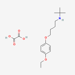 N-(tert-butyl)-4-(4-ethoxyphenoxy)-1-butanamine oxalate