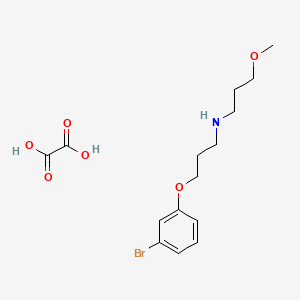 N-[3-(3-bromophenoxy)propyl]-3-methoxypropan-1-amine;oxalic acid