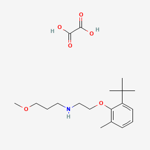 molecular formula C19H31NO6 B4006189 N-[2-(2-叔丁基-6-甲基苯氧基)乙基]-3-甲氧基-1-丙胺草酸盐 