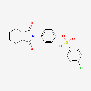 4-(1,3-dioxooctahydro-2H-isoindol-2-yl)phenyl 4-chlorobenzenesulfonate
