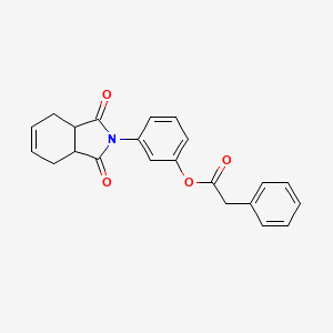 molecular formula C22H19NO4 B4008377 3-(1,3-dioxo-1,3,3a,4,7,7a-hexahydro-2H-isoindol-2-yl)phenyl phenylacetate 