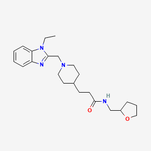 molecular formula C23H34N4O2 B4008388 3-{1-[(1-ethyl-1H-benzimidazol-2-yl)methyl]-4-piperidinyl}-N-(tetrahydro-2-furanylmethyl)propanamide 