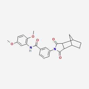 N-(2,5-dimethoxyphenyl)-3-(3,5-dioxo-4-azatricyclo[5.2.1.0~2,6~]dec-4-yl)benzamide