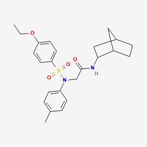 molecular formula C24H30N2O4S B4015130 N~1~-bicyclo[2.2.1]hept-2-yl-N~2~-[(4-ethoxyphenyl)sulfonyl]-N~2~-(4-methylphenyl)glycinamide 