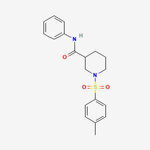 molecular formula C19H22N2O3S B4015989 1-[(4-methylphenyl)sulfonyl]-N-phenyl-3-piperidinecarboxamide 