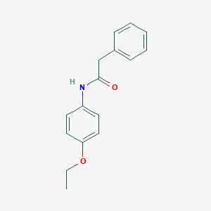 molecular formula C16H17NO2 B401828 N-(4-ethoxyphenyl)-2-phenylacetamide 