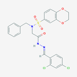 molecular formula C24H21Cl2N3O5S B401862 2-[benzyl(2,3-dihydro-1,4-benzodioxin-6-ylsulfonyl)amino]-N-[(E)-(2,4-dichlorophenyl)methylideneamino]acetamide 