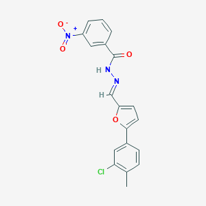 molecular formula C19H14ClN3O4 B402558 N'-{[5-(3-chloro-4-methylphenyl)-2-furyl]methylene}-3-nitrobenzohydrazide 