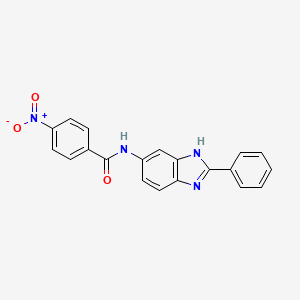 molecular formula C20H14N4O3 B4025616 4-nitro-N-(2-phenyl-3H-benzimidazol-5-yl)benzamide 