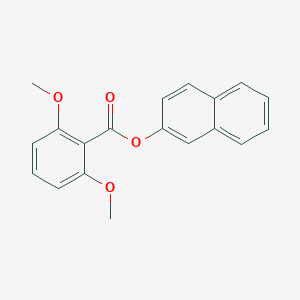 molecular formula C19H16O4 B402661 2-Naphthyl 2,6-dimethoxybenzoate 