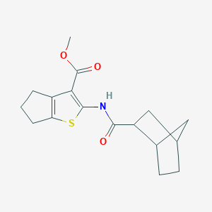 methyl 2-[(bicyclo[2.2.1]hept-2-ylcarbonyl)amino]-5,6-dihydro-4H-cyclopenta[b]thiophene-3-carboxylate