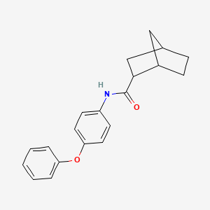 N-(4-phenoxyphenyl)bicyclo[2.2.1]heptane-2-carboxamide