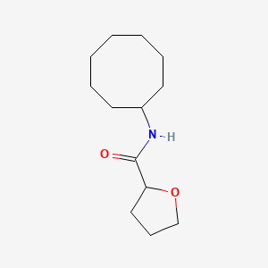 molecular formula C13H23NO2 B4027594 N-cyclooctyloxolane-2-carboxamide 